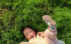 秘黄 视频免费看第二个